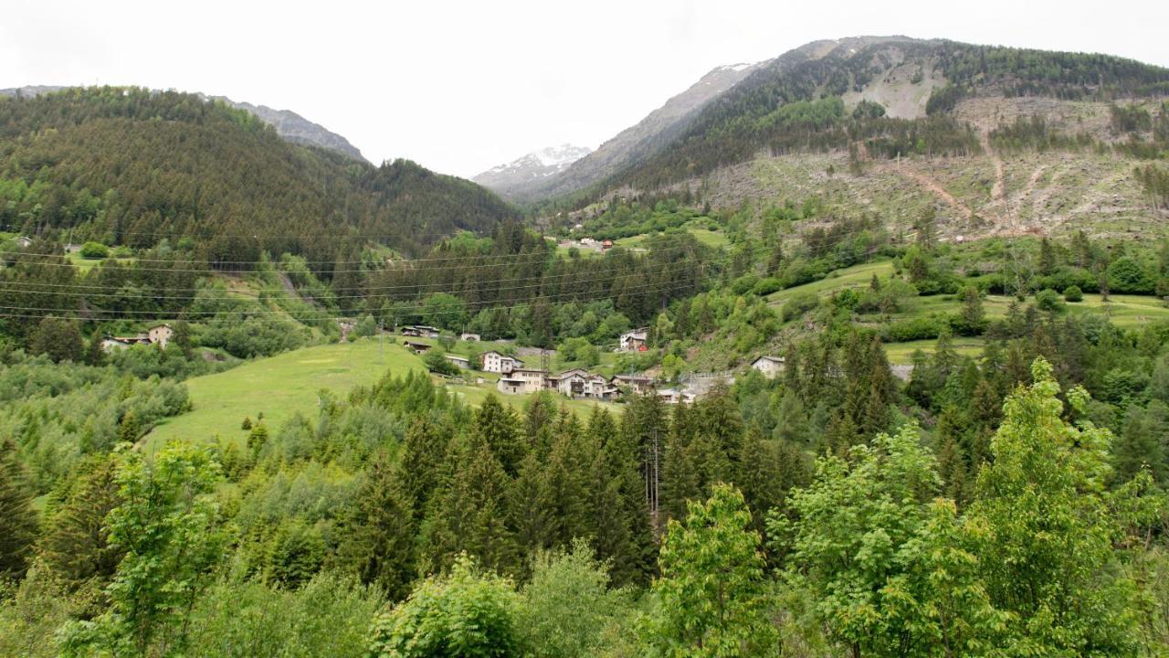 Italianway - Villa Tola Valdisotto Exteriör bild